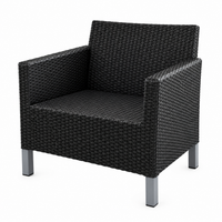Sillón de mimbre con cojín