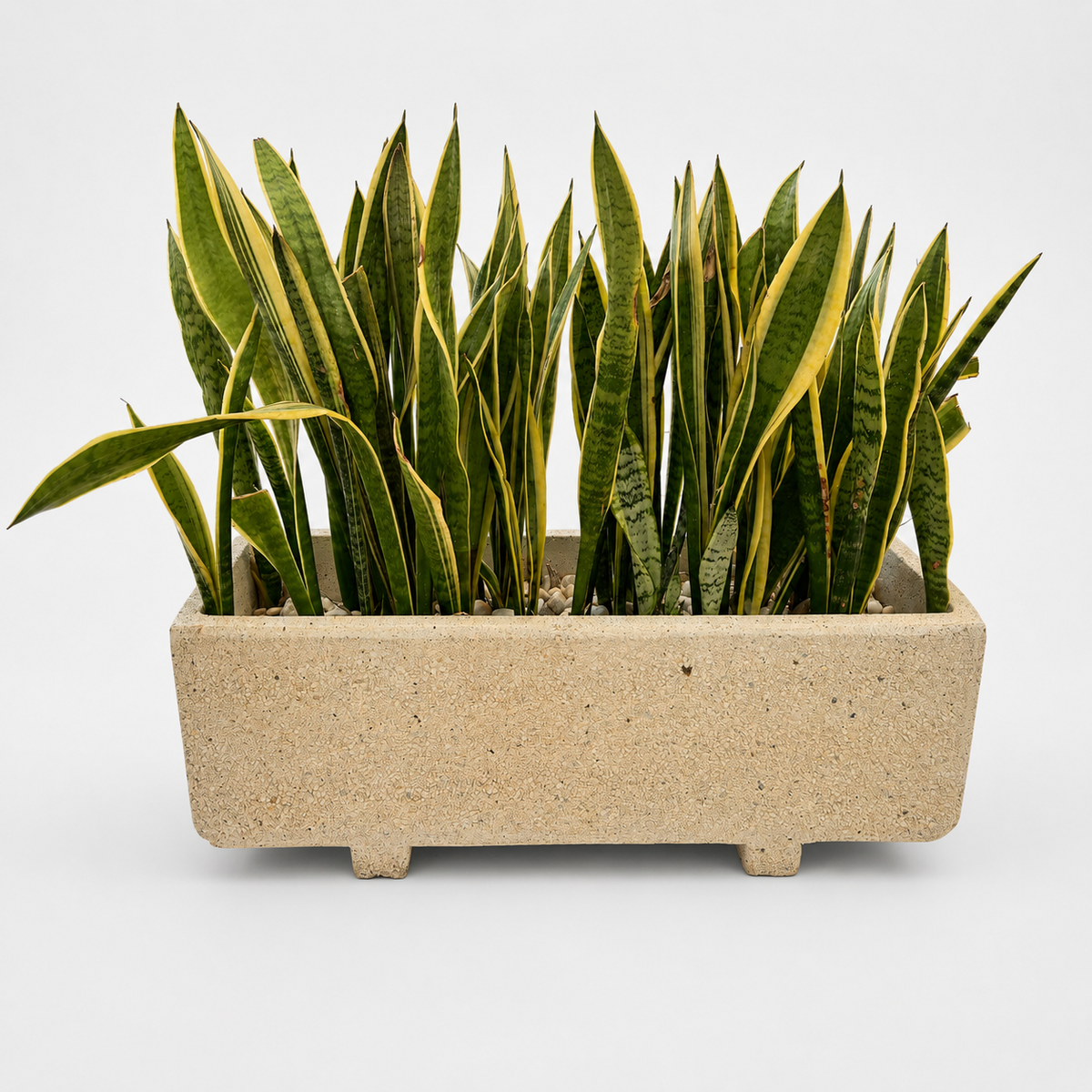 Jardinera rectangular en piedra