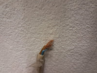 Candeeiro Origami