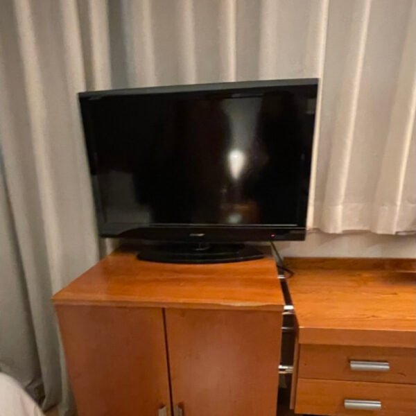 Televisor de pie